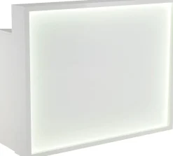 Ayala Brill Reception Desk