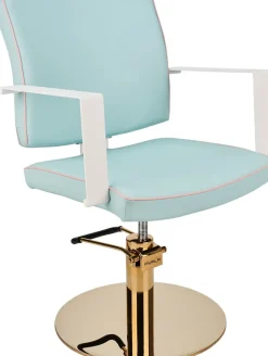 Ayala Dolly Custom Styling Chair