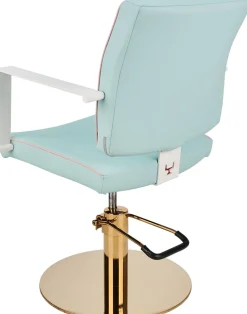 Ayala Dolly Custom Styling Chair