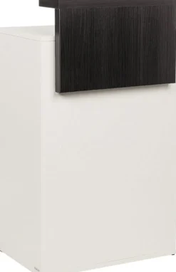 Ayala Tina Reception Desk