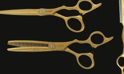 e-kwip Harmony Set Matt-Gold