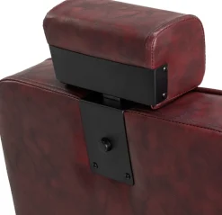 Gabbiano Barber Chair Brown BM88066B