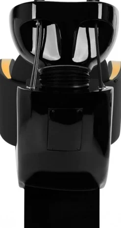 Gabbiano Hairdressing Wash Unit Malaga Gold And Black