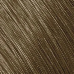 Goldwell Topchic 8SB Silver Blonde 60 ml