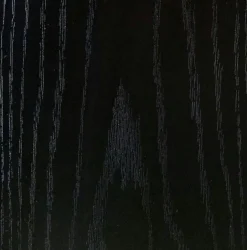 Hairway Work Unit SISSI Black