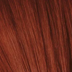 Schwarzkopf Igora Royal 6-88 Dark Blonde Red Extra - 60 ml