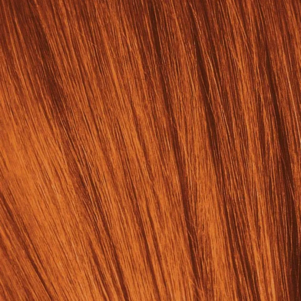 Schwarzkopf Igora Royal 6-77 Dark Blonde Copper Extra - 60 ml