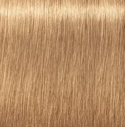 Schwarzkopf Igora Royal Absolutes 9-560 Extra Light Blonde Gold Chocolate - 60 ml