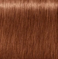 Schwarzkopf Igora Royal Absolutes 7-560 Medium Blonde Gold Chocolate - 60 ml