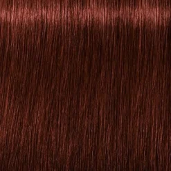 Schwarzkopf Igora Royal Absolutes 5-80 Light Brown Red Natural - 60 ml