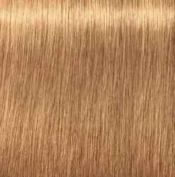 Schwarzkopf Igora Royal Absolutes 9-50 Extra Light Blonde Gold Natural - 60 ml