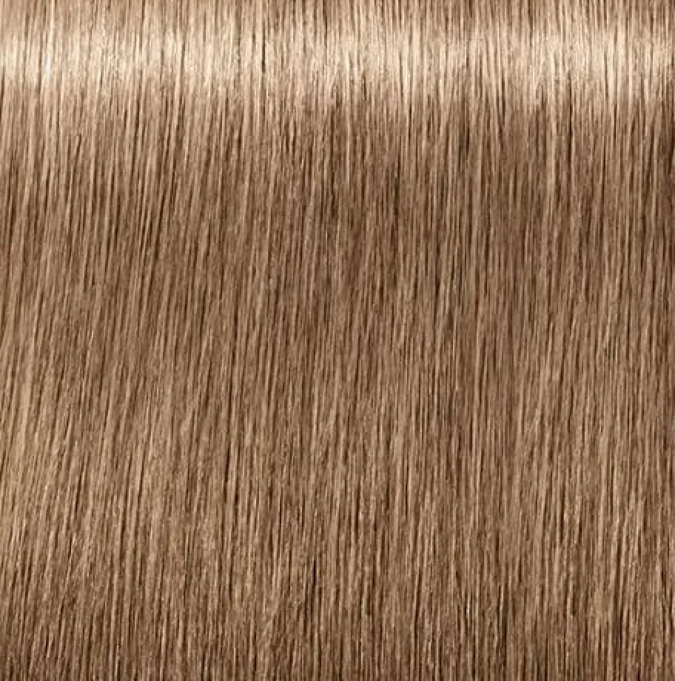 Schwarzkopf Igora Royal Absolutes 8-01 Light Blonde Natural Cendré - 60 ml