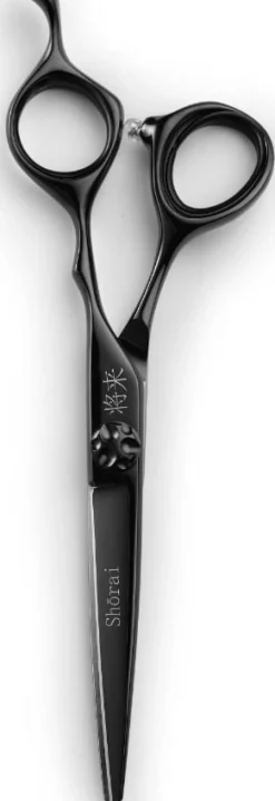 Shōrai SC Black 6"