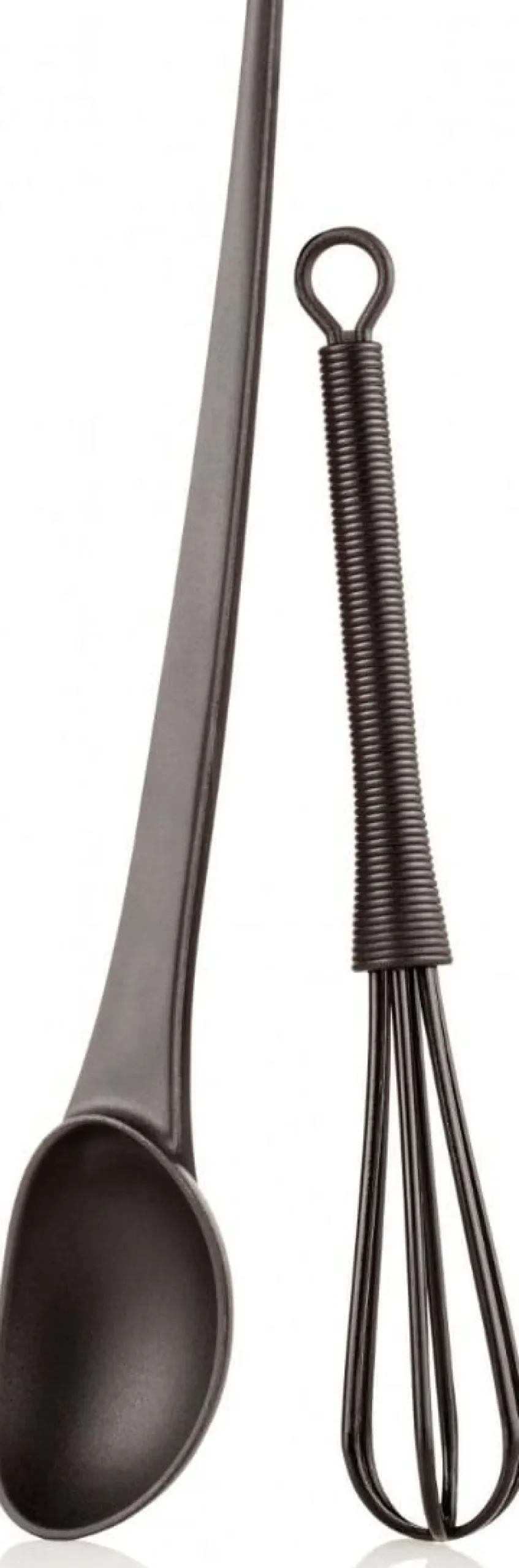 XanitaliaPro Hair Color Applicator Set in Black